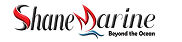 Blessed Marine Services - BSM Logo