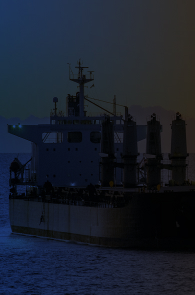 Other Services Background